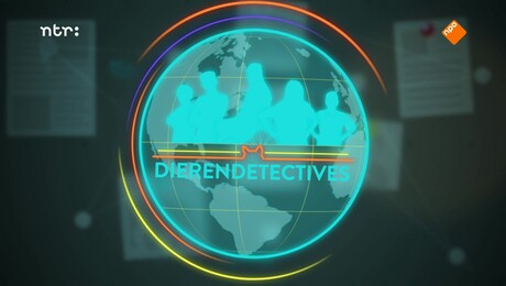 DierenDetectives | Hond Buster